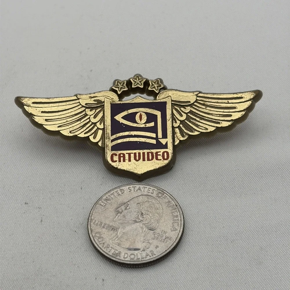 CatVideo Egyptian Eye Wings Gold Tone Plastic Lapel Hat Pin Vintage Winged Crest